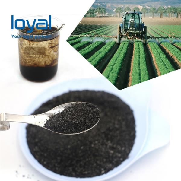 Ammonium Sulphate Powder Nitrogen Fertilizer Specification for Importer #3 image